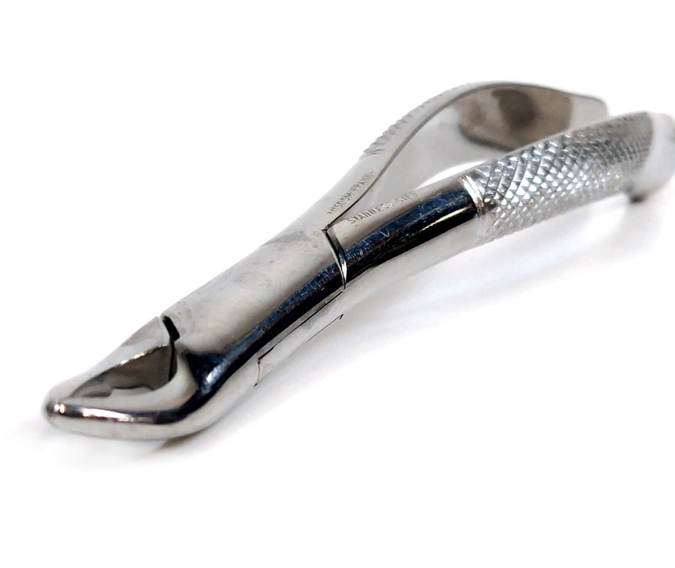Misdom Frank Misdom Frank 150 Dental Extracting Forceps Instrument Stainless Steel - Germany