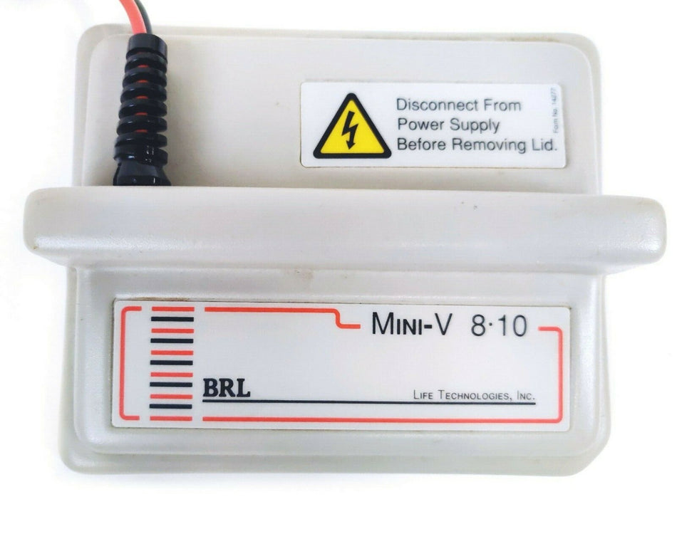 Life Tech Mini-V 8.10 Gel Gel Electrophoresis Apparatus w Tank, Blot Module 1078