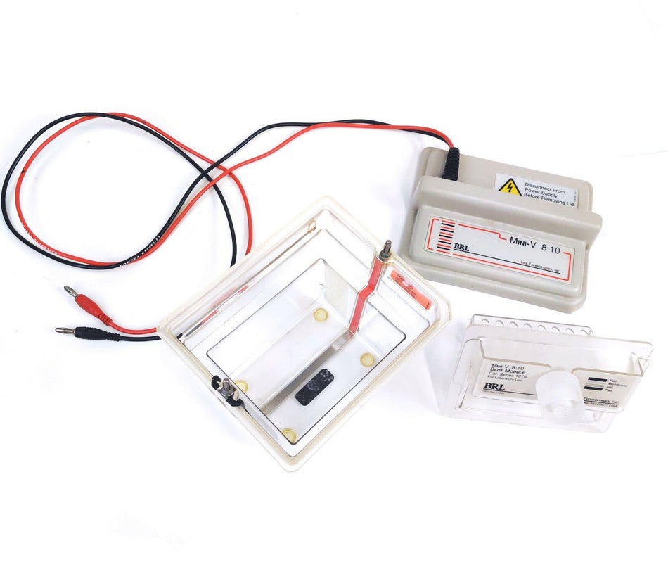 Life Tech Mini-V 8.10 Gel Gel Electrophoresis Apparatus w Tank, Blot Module 1078