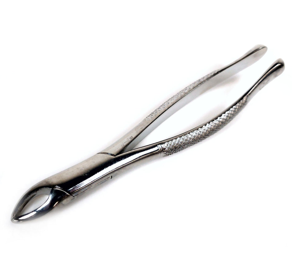 Misdom Frank Misdom Frank 150 Dental Extracting Forceps Instrument Stainless Steel - Germany