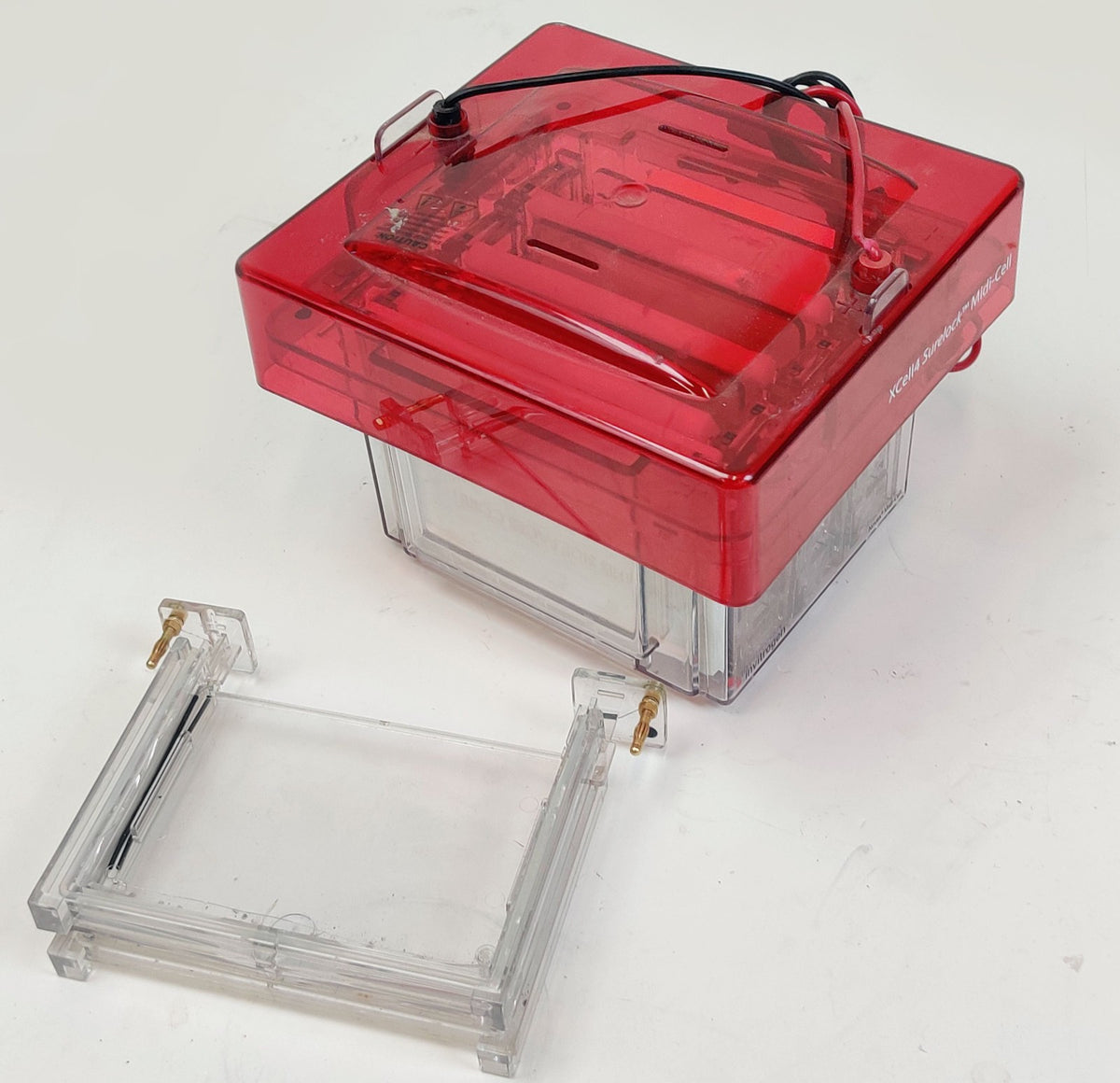Invitrogen XCell4 SureLock Midi-Cell with Buffer Gel Electrophoresis - 