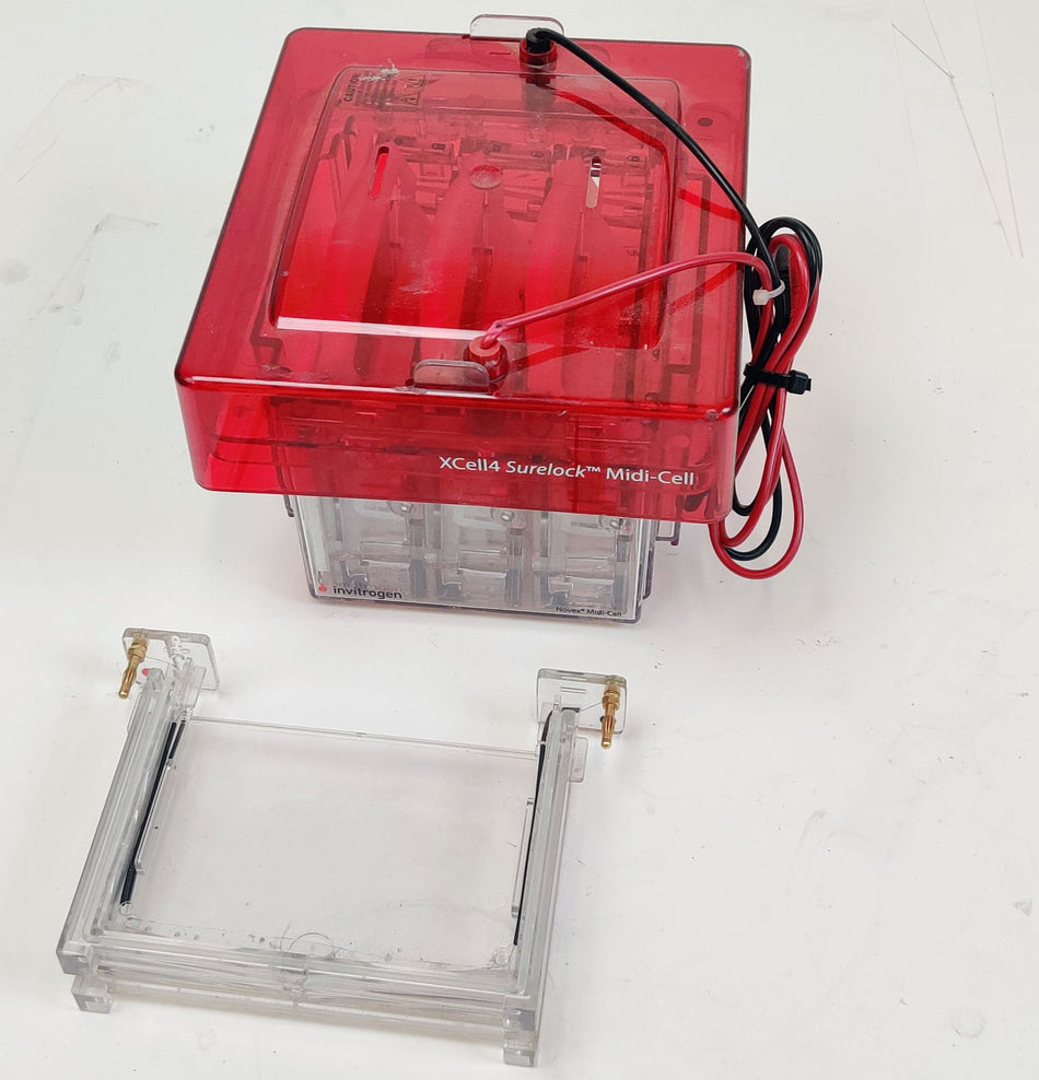 Invitrogen Invitrogen XCell4 SureLock Midi-Cell with Buffer Gel Electrophoresis
