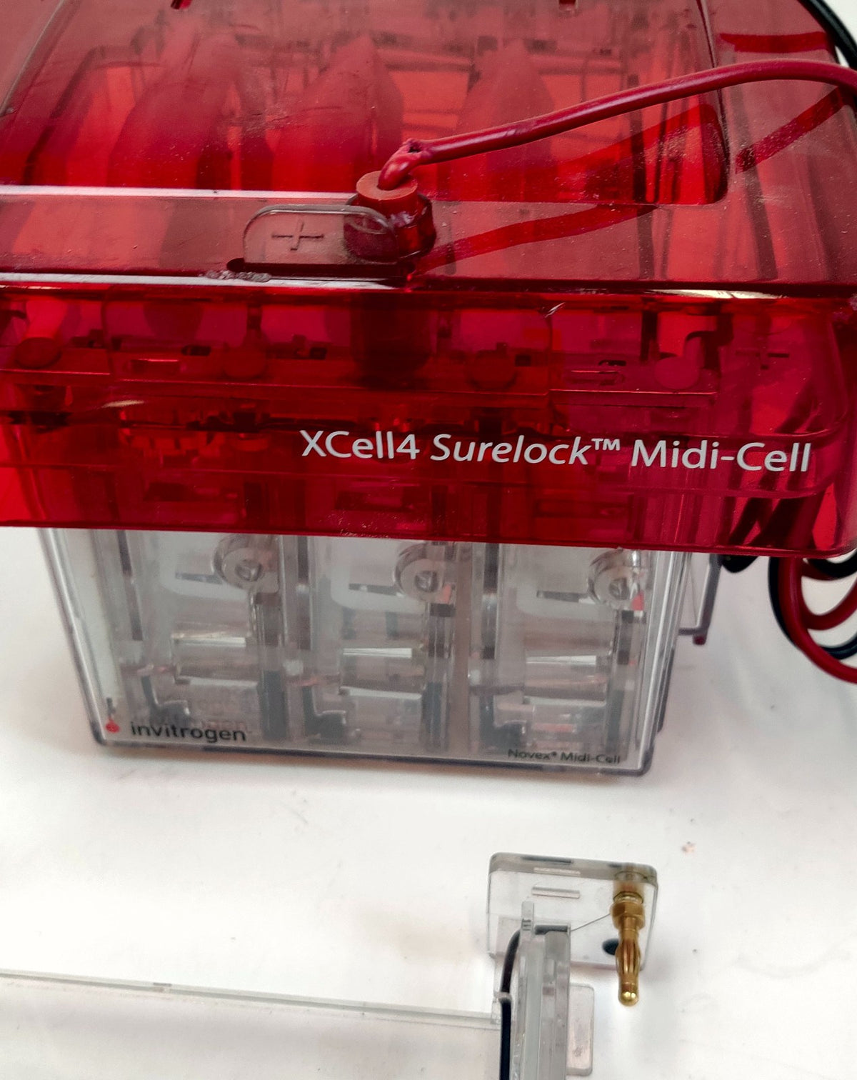 Invitrogen XCell4 SureLock Midi-Cell with Buffer Gel Electrophoresis - 
