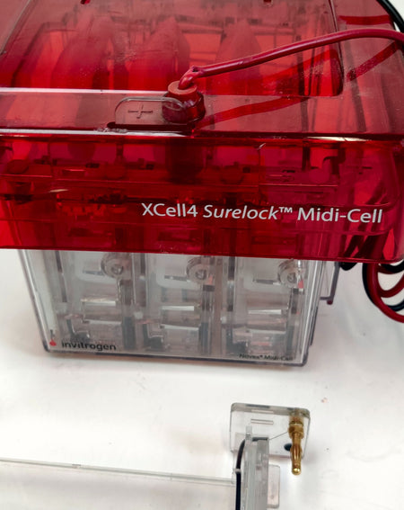 Invitrogen XCell4 SureLock Midi-Cell with Buffer Gel Electrophoresis - 