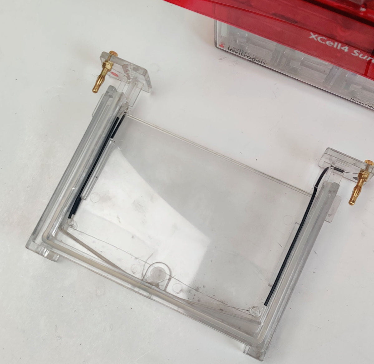 Invitrogen XCell4 SureLock Midi-Cell with Buffer Gel Electrophoresis - 