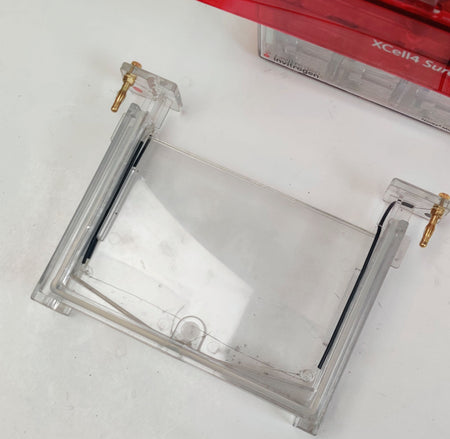 Invitrogen XCell4 SureLock Midi-Cell with Buffer Gel Electrophoresis - 