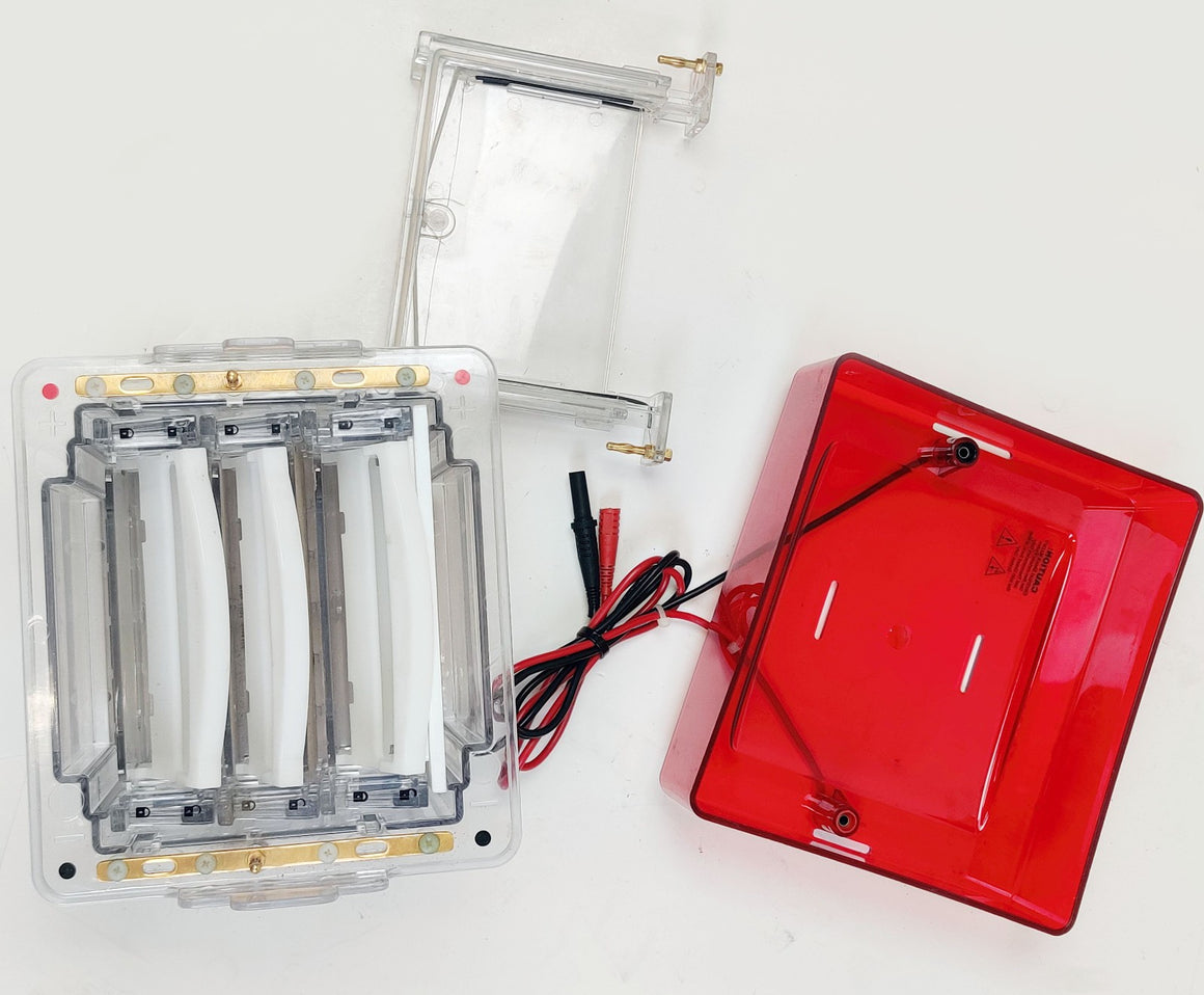 Invitrogen XCell4 SureLock Midi-Cell with Buffer Gel Electrophoresis - 